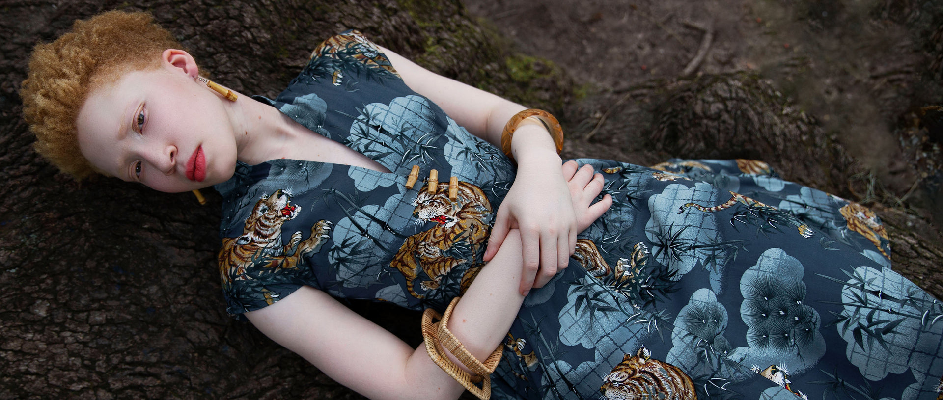 Traditional Tigers Collection