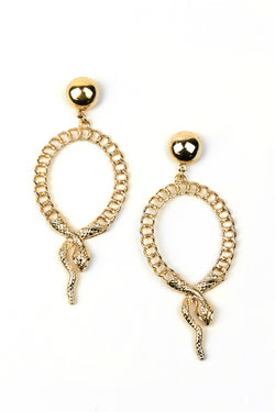 Snake Oval Chain Earrings