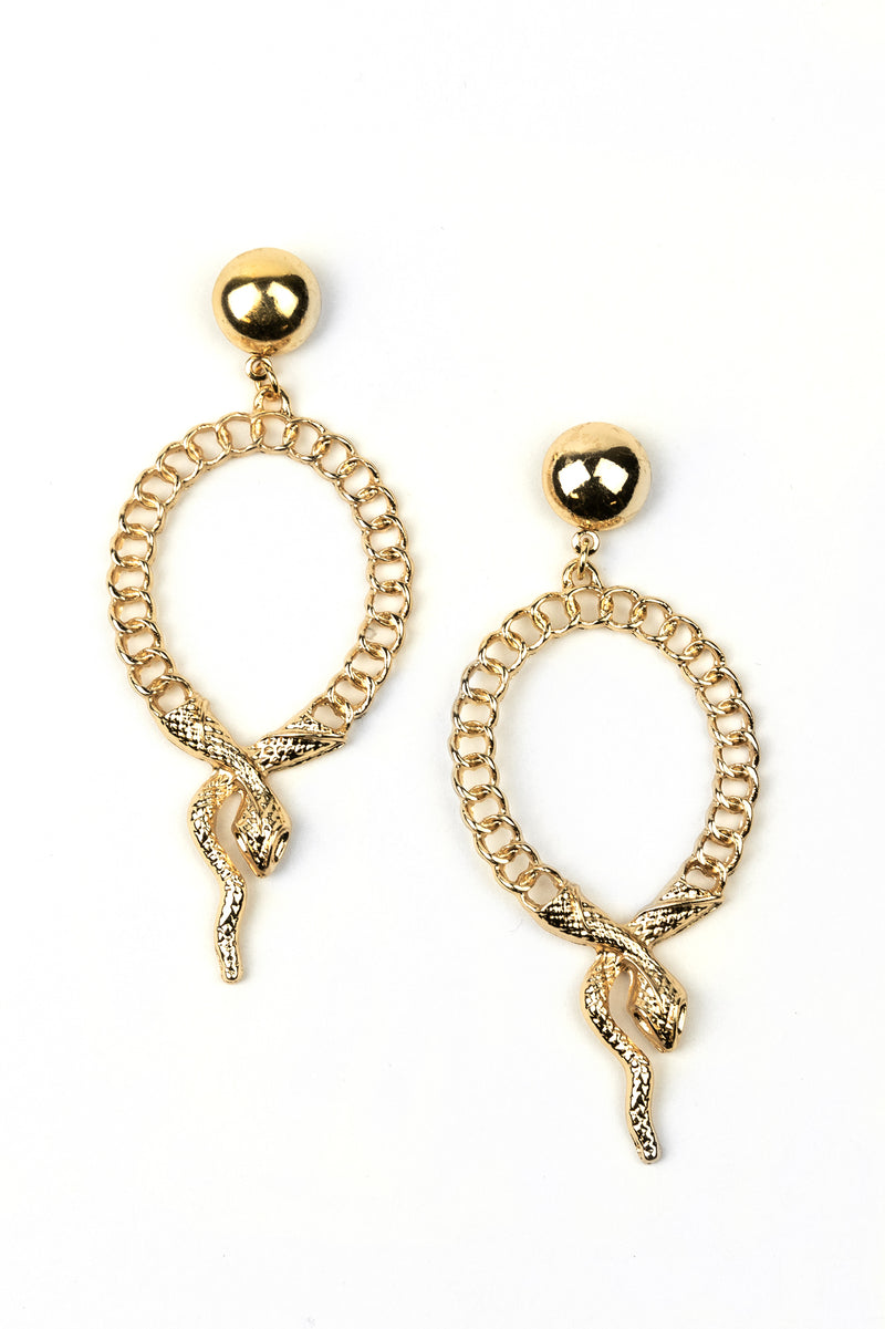 Snake Oval Chain Earrings