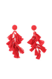 Seed Bead Tassel Earrings